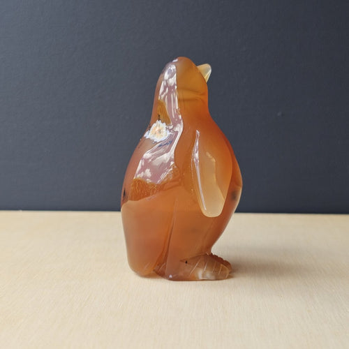Carnelian Druzy Penguin | Ember Pengys 191gm