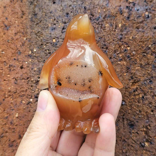 Carnelian Druzy Penguin | Ember Pengys 191gm