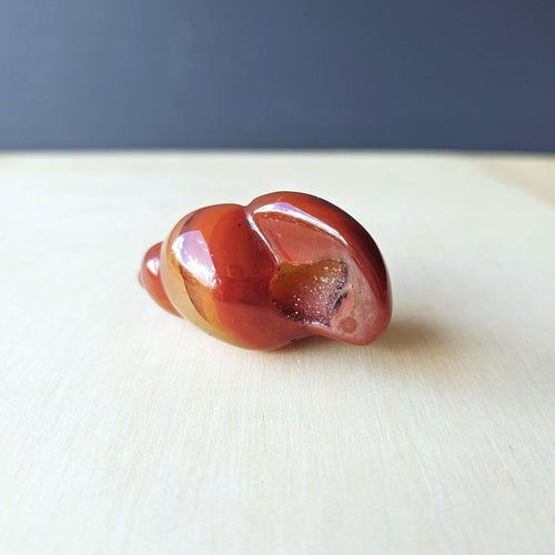 Carnelian Druzy Shell | Carving 67gm