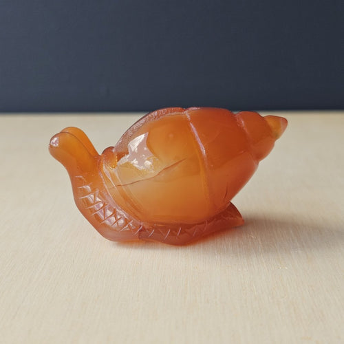 Carnelian Druzy Snail | Carving 74gm