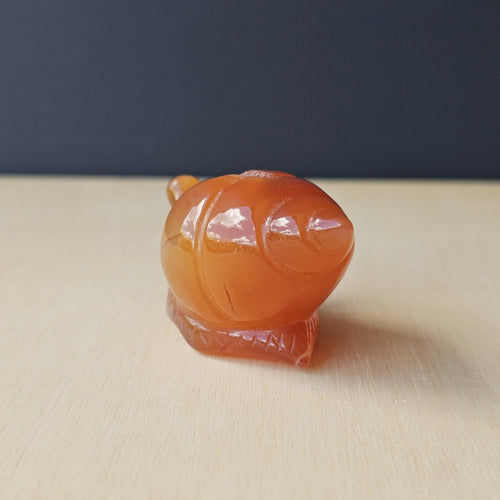 Carnelian Druzy Snail | Carving 74gm