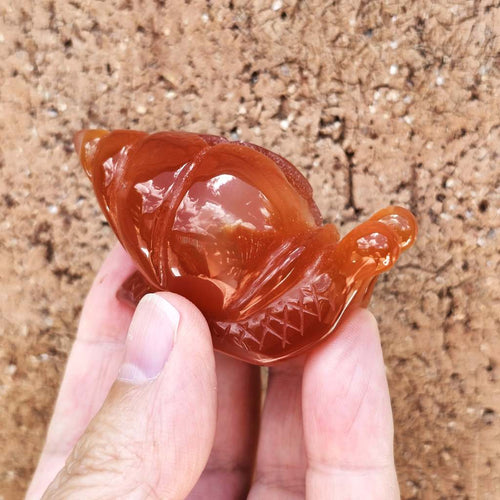 Carnelian Druzy Snail | Carving 74gm