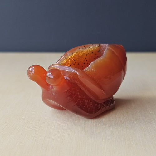 Carnelian Druzy Snail | Carving 85gm