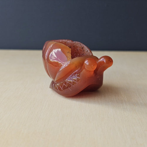 Carnelian Druzy Snail | Carving 85gm