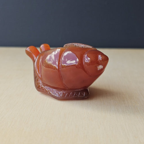 Carnelian Druzy Snail | Carving 85gm