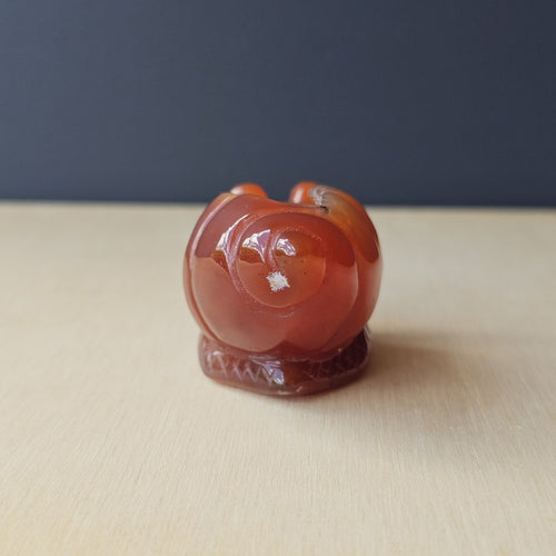 Carnelian Druzy Snail | Carving 85gm