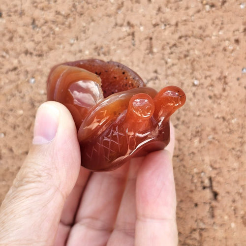 Carnelian Druzy Snail | Carving 85gm