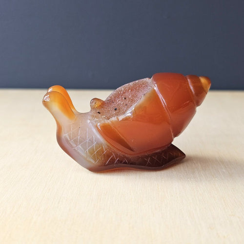 Carnelian Druzy Snail | Carving 92gm