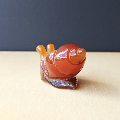 Carnelian Druzy Snail | Carving 92gm