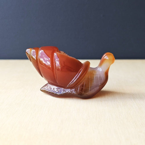 Carnelian Druzy Snail | Carving 92gm