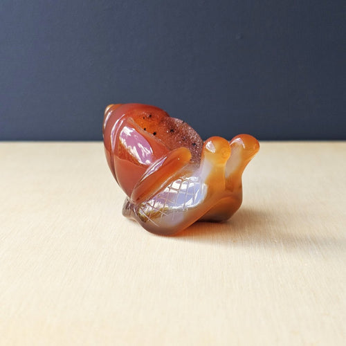 Carnelian Druzy Snail | Carving 92gm