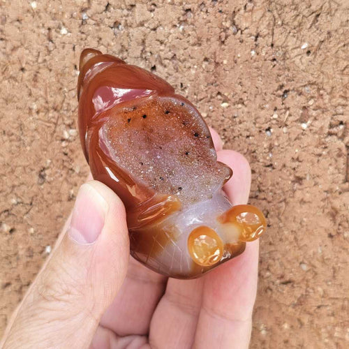 Carnelian Druzy Snail | Carving 92gm