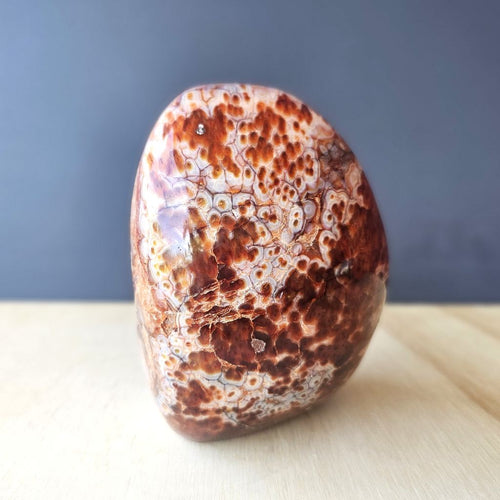 Carnelian | Freeform 1.85kgs