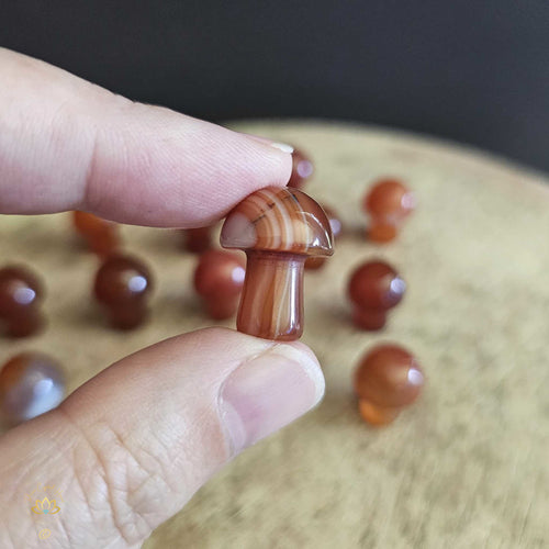 Carnelian Mini Mushrooms