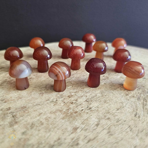 Carnelian Mini Mushrooms