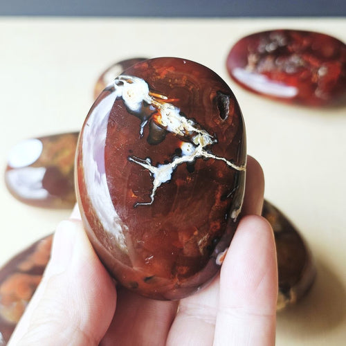 Carnelian | Palm Stones
