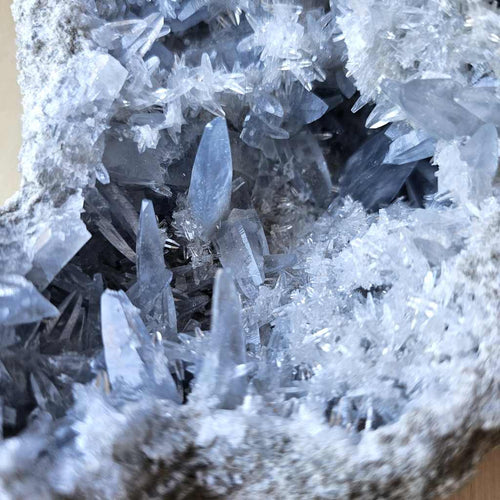 Celestite (Dogtooth) | Geode 2.3kg
