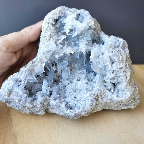 Celestite (Dogtooth) | Geode 2.3kg