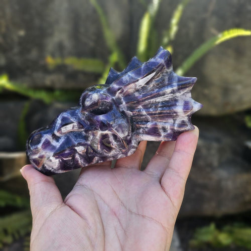 Chevron Amethyst Dragon Head | Amethyst Order Ascendant