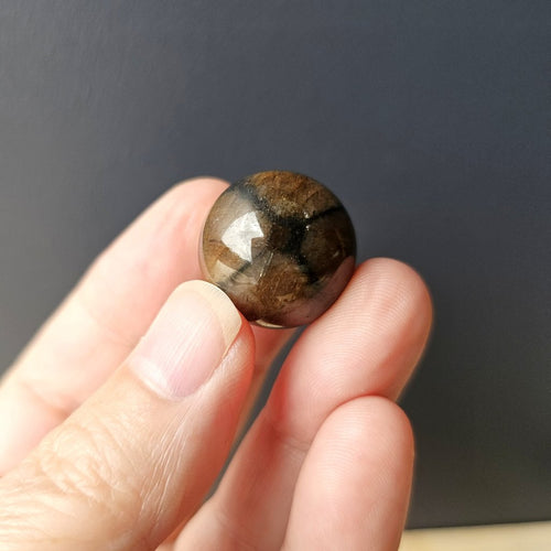 Chiastolite | Mini Spheres