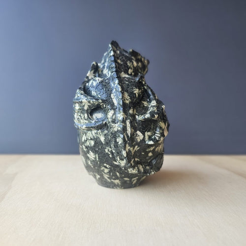 Chinese Writing Stone Dragon Skull | The Watcher Within