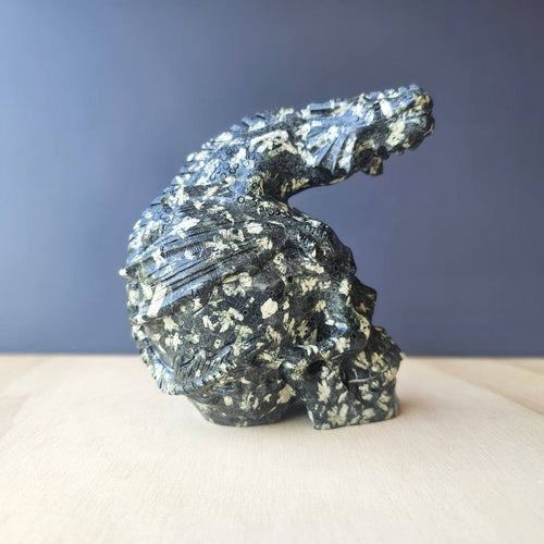 Chinese Writing Stone Dragon Skull | The Watcher Within