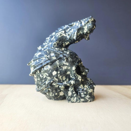 Chinese Writing Stone Dragon Skull | The Watcher Within