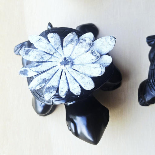 Chrysanthemum Stone | Turtles