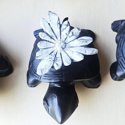 Chrysanthemum Stone | Turtles
