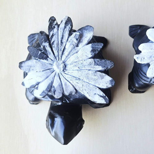Chrysanthemum Stone | Turtles