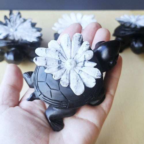 Chrysanthemum Stone | Turtles