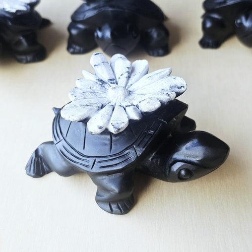 Chrysanthemum Stone | Turtles