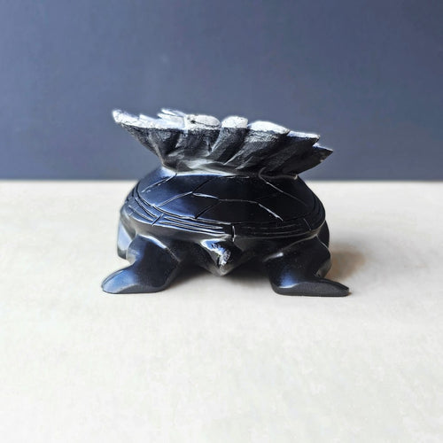 Chrysanthemum Stone | Turtles