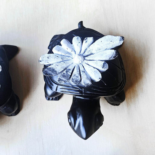 Chrysanthemum Stone | Turtles