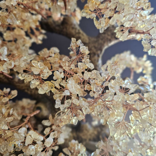 Citrine Crystal Bonsai | Abundance