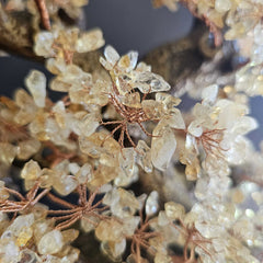 Citrine Crystal Bonsai | Abundance