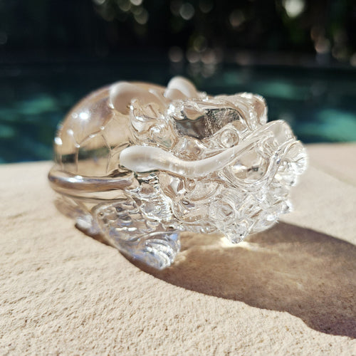 Citrine Dragon Turtle | Dragon Of The Divine