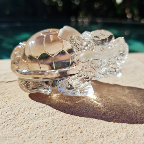 Citrine Dragon Turtle | Dragon Of The Divine