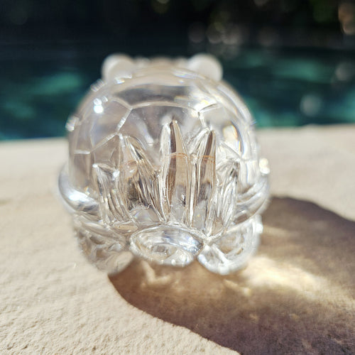 Citrine Dragon Turtle | Dragon Of The Divine