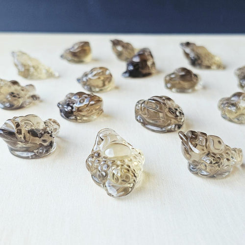 Citrine Money Toad - A Grade | The Wealth Keepers