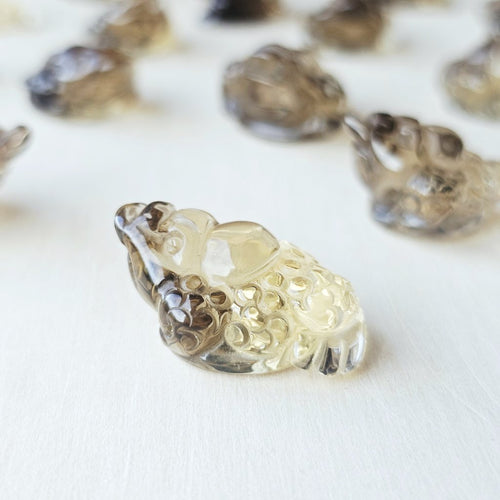 Citrine Money Toad - A Grade | The Wealth Keepers