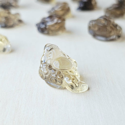 Citrine Money Toad - A Grade | The Wealth Keepers