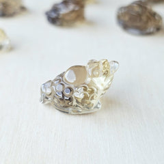 Citrine Money Toad - A Grade | The Wealth Keepers