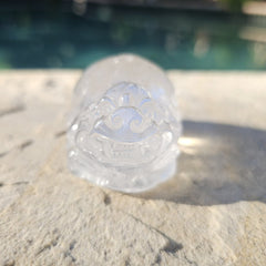 Clear Quartz Pixiu | Rainbow Warrior