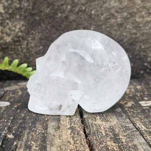 Clear Quartz Skull | Guardian of Light 333gms