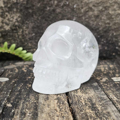Clear Quartz Skull | Guardian of Light 333gms