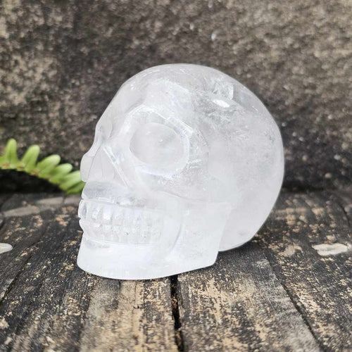 Clear Quartz Skull | Guardian of Transparency 447gms