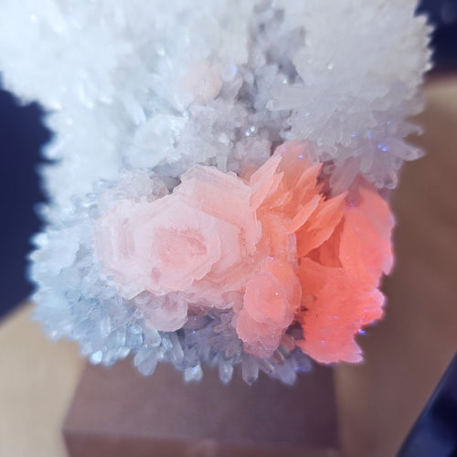 Coin Calcite and Quartz Specimen | Celestial Coinage