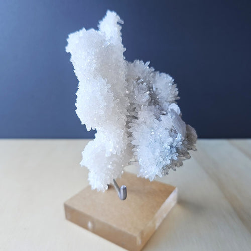 Coin Calcite and Quartz Specimen | Celestial Coinage
