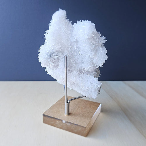 Coin Calcite and Quartz Specimen | Celestial Coinage